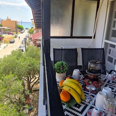 Katia'S Apartments Sarti Zewnętrze zdjęcie
